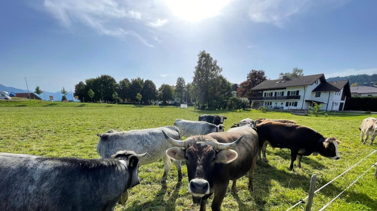 Ferienwohnung Familie Zint Sonthofen Zewnętrze zdjęcie